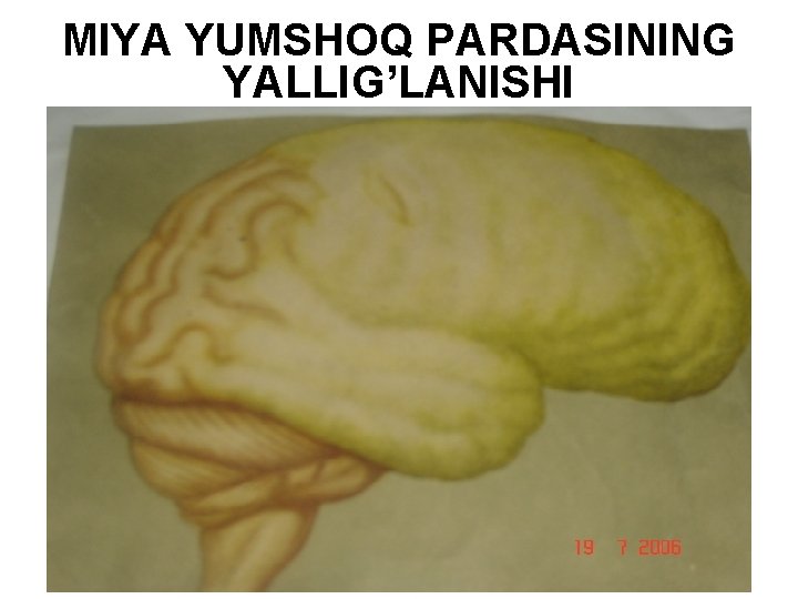 MIYA YUMSHOQ PARDASINING YALLIG’LANISHI 