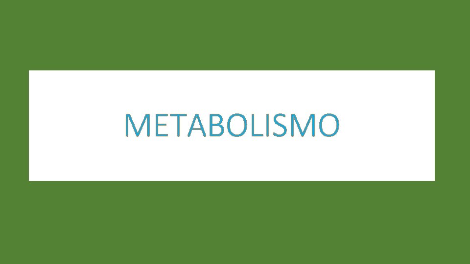 METABOLISMO 