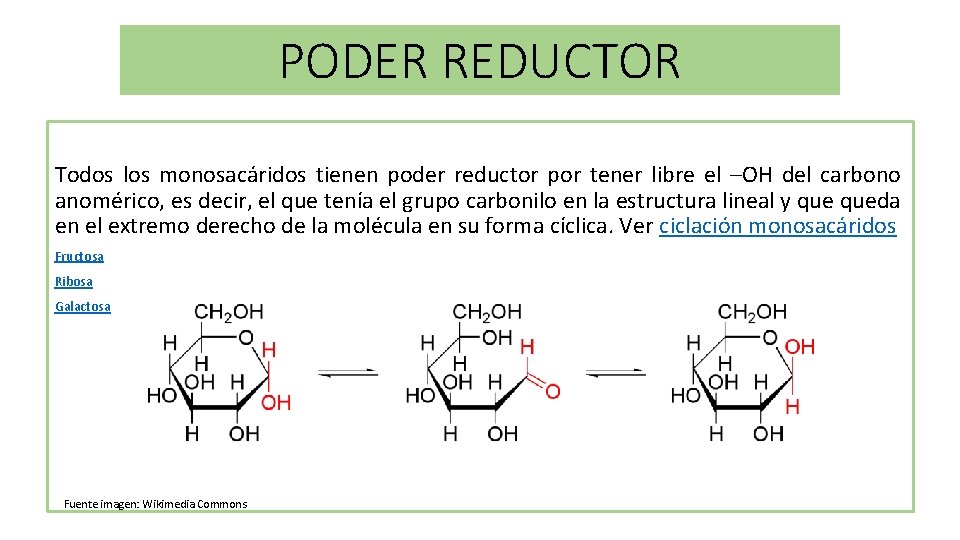 PODER REDUCTOR Todos los monosacáridos tienen poder reductor por tener libre el –OH del