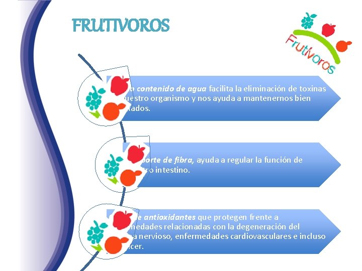 FRUTIVOROS Su alto contenido de agua facilita la eliminación de toxinas de nuestro organismo