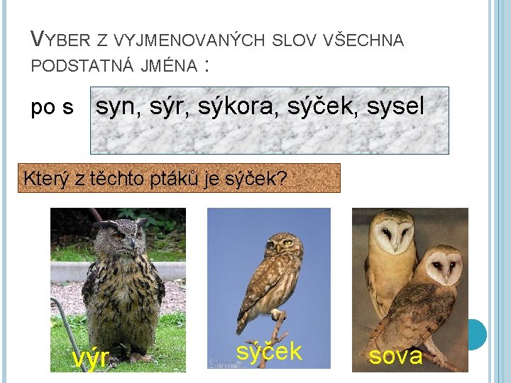 VYBER Z VYJMENOVANÝCH SLOV VŠECHNA PODSTATNÁ JMÉNA : po s syn, sýr, sýkora, sýček,