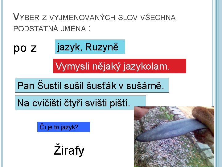 VYBER Z VYJMENOVANÝCH SLOV VŠECHNA PODSTATNÁ JMÉNA : po z jazyk, Ruzyně Vymysli nějaký