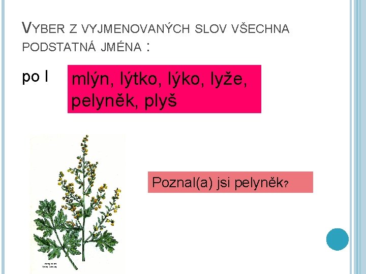 VYBER Z VYJMENOVANÝCH SLOV VŠECHNA PODSTATNÁ JMÉNA : po l mlýn, lýtko, lýko, lyže,