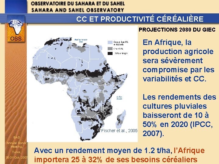 CC ET PRODUCTIVITÉ CÉRÉALIÈRE PROJECTIONS 2080 DU GIEC En Afrique, la production agricole sera