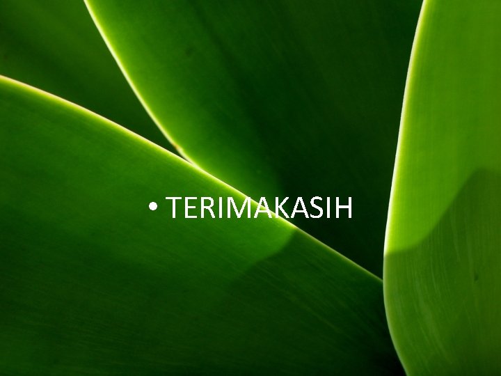  • TERIMAKASIH 