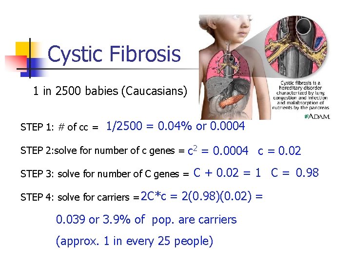 Cystic Fibrosis 1 in 2500 babies (Caucasians) STEP 1: # of cc = 1/2500