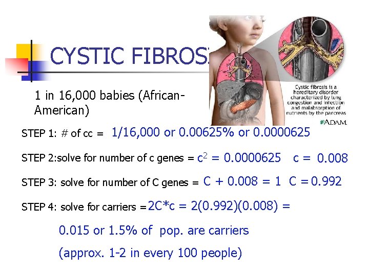 CYSTIC FIBROSIS 1 in 16, 000 babies (African. American) STEP 1: # of cc