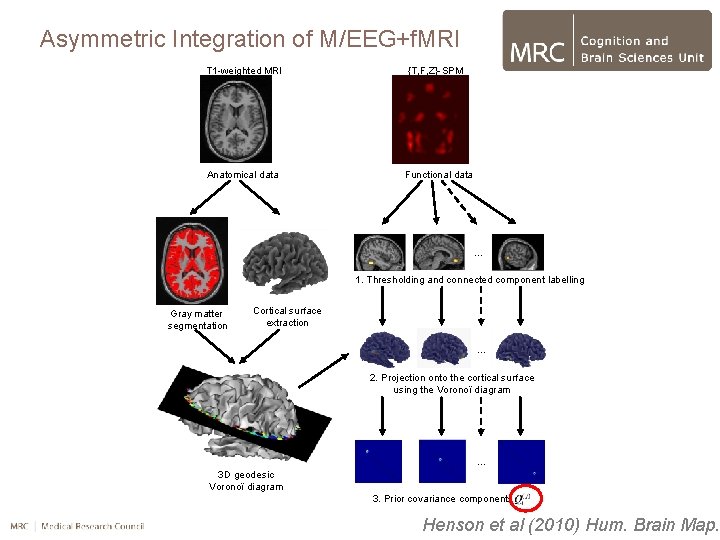 Asymmetric Integration of M/EEG+f. MRI T 1 -weighted MRI {T, F, Z}-SPM Anatomical data