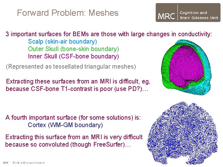 Forward Problem: Meshes 3 important surfaces for BEMs are those with large changes in