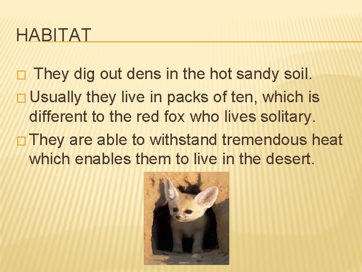 HABITAT They dig out dens in the hot sandy soil. � Usually they live