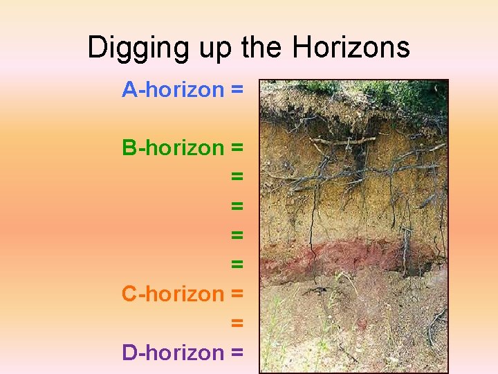 Digging up the Horizons A-horizon = B-horizon = = = C-horizon = = D-horizon