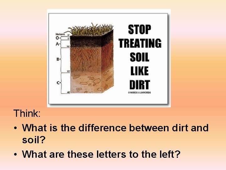 Think: • What is the difference between dirt and soil? • What are these