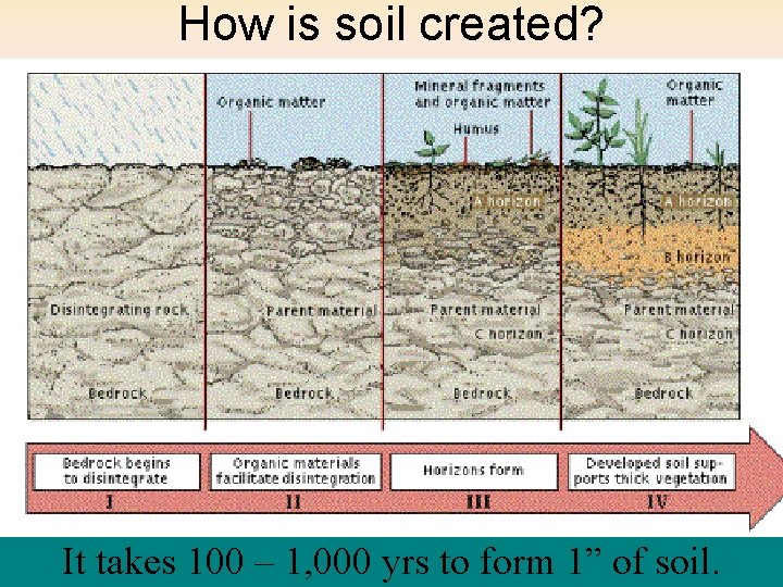 How is soil created? It takes 100 – 1, 000 yrs to form 1”