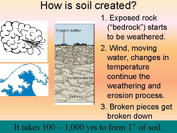 How is soil created? 1. Exposed rock (“bedrock”) starts to be weathered. 2. Wind,