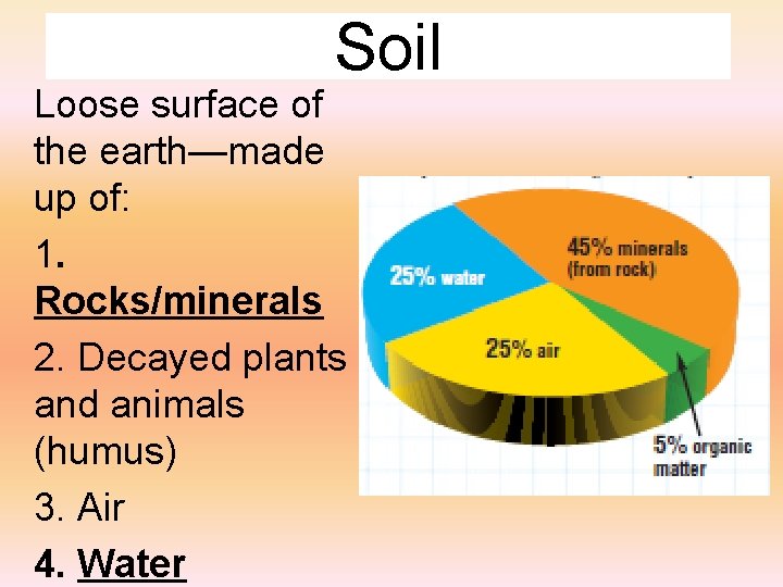 Soil Loose surface of the earth—made up of: 1. Rocks/minerals 2. Decayed plants and