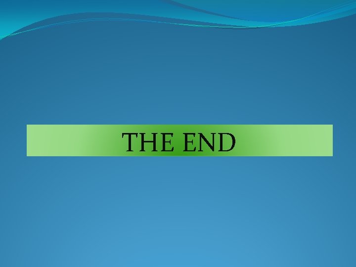 THE END 