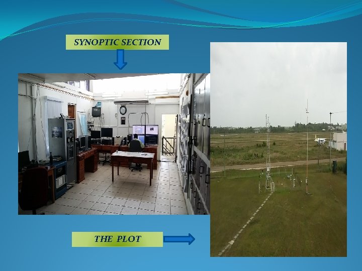 SYNOPTIC SECTION THE PLOT 