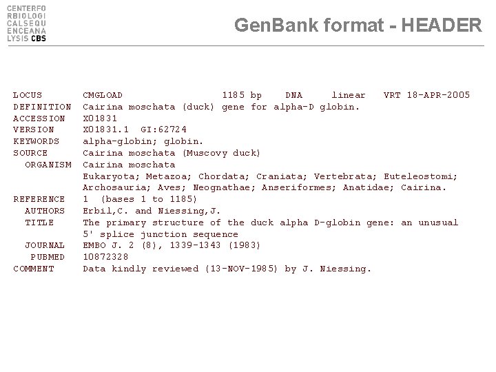 Gen. Bank format - HEADER LOCUS DEFINITION ACCESSION VERSION KEYWORDS SOURCE ORGANISM REFERENCE AUTHORS