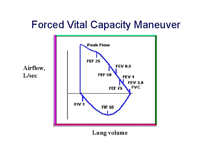 Forced Vital Capacity Maneuver Airflow, L/sec Lung volume 