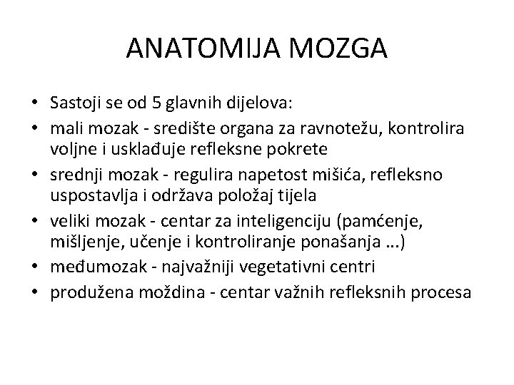 ANATOMIJA MOZGA • Sastoji se od 5 glavnih dijelova: • mali mozak - središte