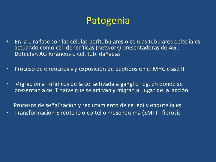 Patogenia • En la 1 ra fase son las células peritubulares o células tubulares
