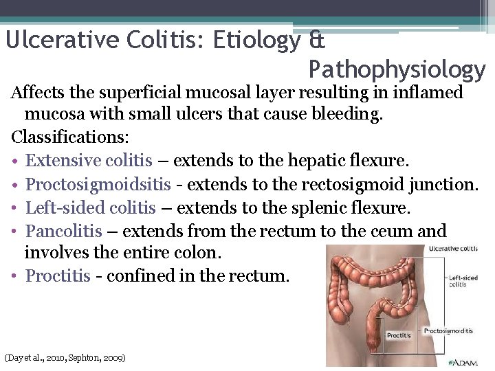 Ulcerative Colitis: Etiology & Pathophysiology Affects the superficial mucosal layer resulting in inflamed mucosa