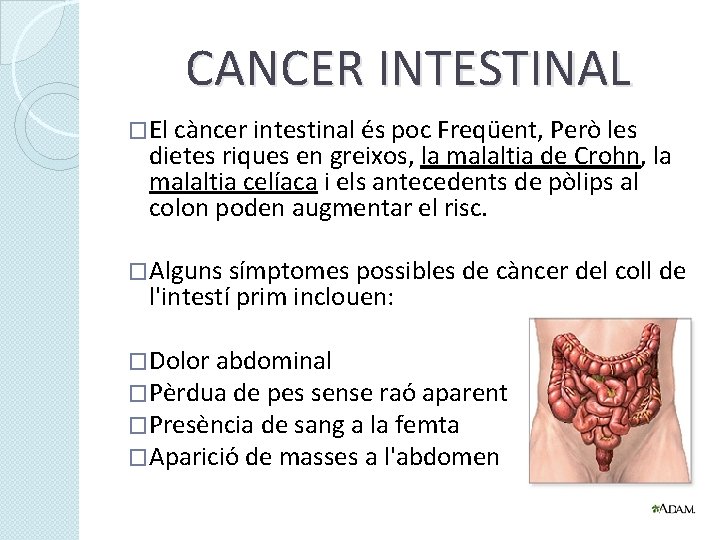 CANCER INTESTINAL �El càncer intestinal és poc Freqüent, Però les dietes riques en greixos,