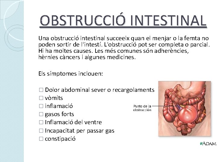 OBSTRUCCIÓ INTESTINAL Una obstrucció intestinal succeeix quan el menjar o la femta no poden