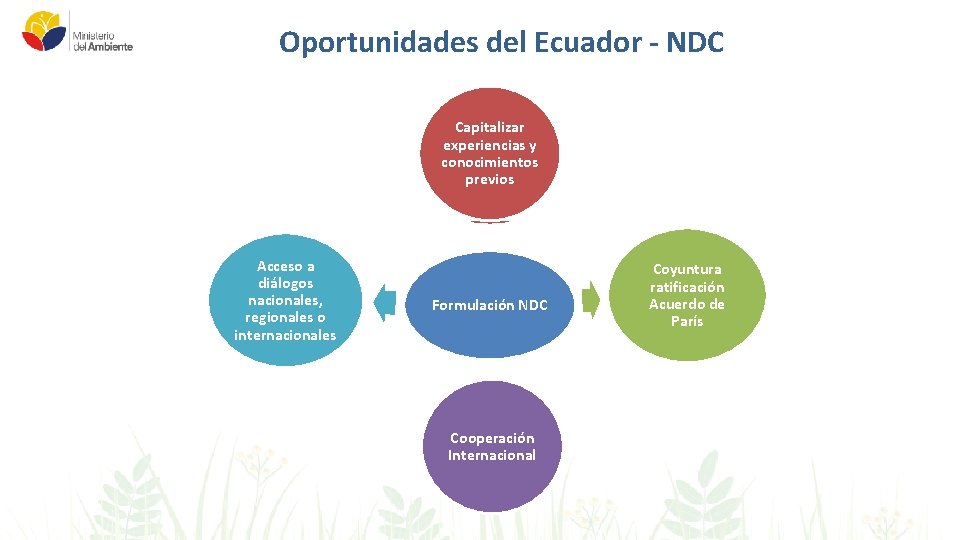 Oportunidades del Ecuador - NDC Capitalizar experiencias y conocimientos previos Acceso a diálogos nacionales,