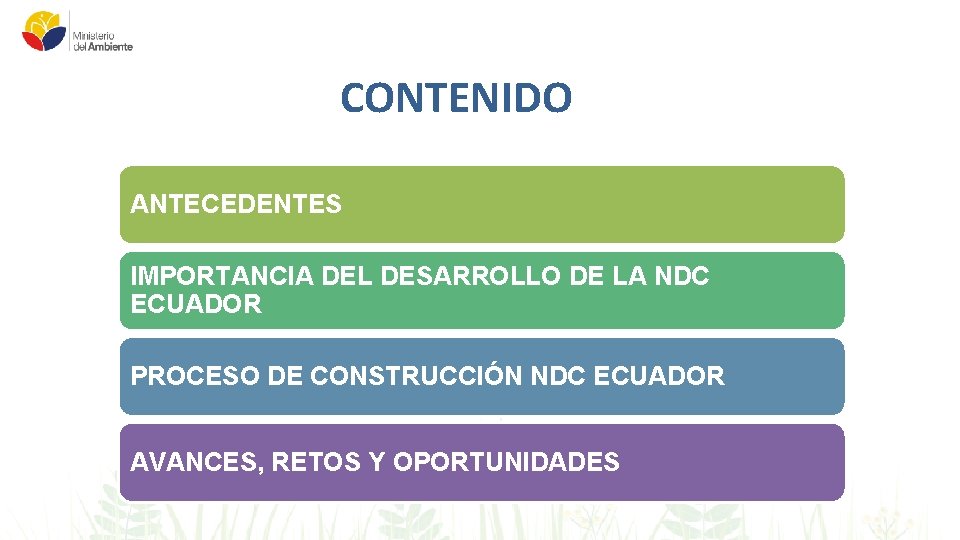 CONTENIDO ANTECEDENTES IMPORTANCIA DEL DESARROLLO DE LA NDC ECUADOR PROCESO DE CONSTRUCCIÓN NDC ECUADOR
