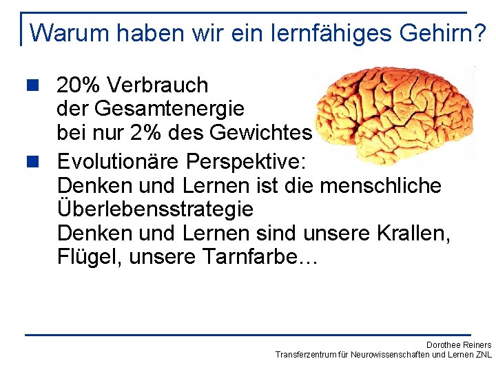 Warum haben wir ein lernfähiges Gehirn? n 20% Verbrauch der Gesamtenergie bei nur 2%