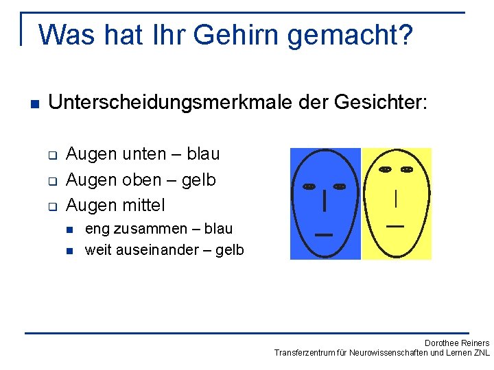 Was hat Ihr Gehirn gemacht? n Unterscheidungsmerkmale der Gesichter: q q q Augen unten