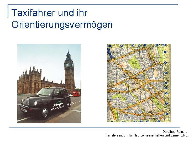 Taxifahrer und ihr Orientierungsvermögen Dorothee Reiners Transferzentrum für Neurowissenschaften und Lernen ZNL 