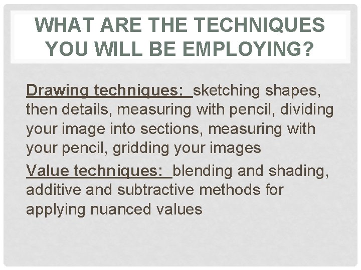 WHAT ARE THE TECHNIQUES YOU WILL BE EMPLOYING? Drawing techniques: sketching shapes, then details,