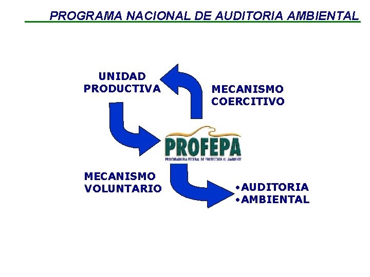 PROGRAMA NACIONAL DE AUDITORIA AMBIENTAL UNIDAD PRODUCTIVA MECANISMO VOLUNTARIO MECANISMO COERCITIVO • AUDITORIA •