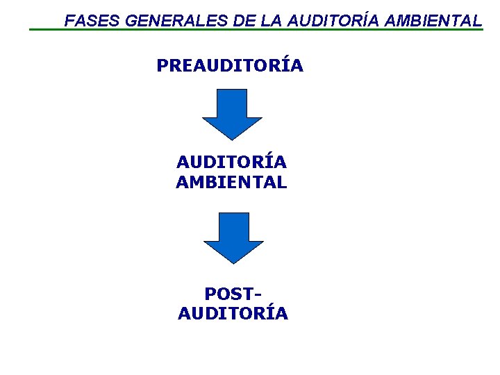 FASES GENERALES DE LA AUDITORÍA AMBIENTAL PREAUDITORÍA AMBIENTAL POSTAUDITORÍA 