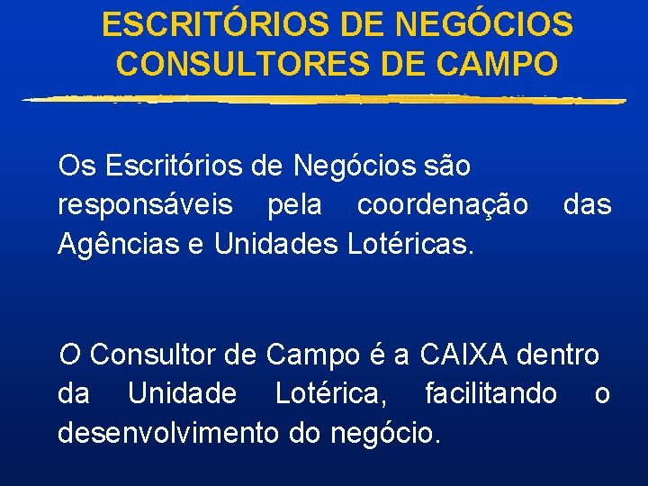 ESCRITÓRIOS DE NEGÓCIOS CONSULTORES DE CAMPO Os Escritórios de Negócios são responsáveis pela coordenação