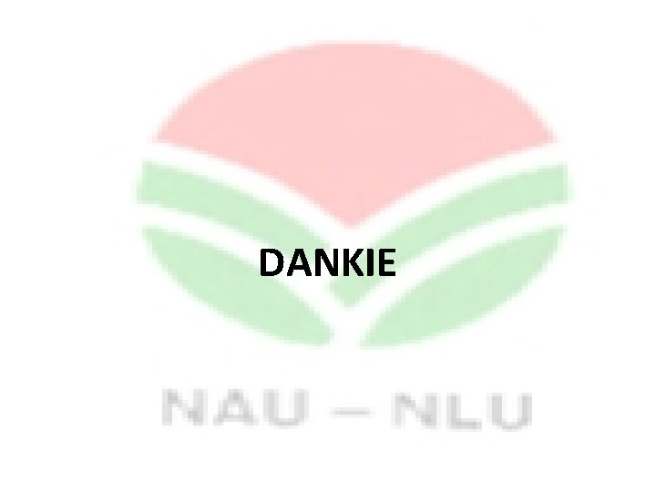 DANKIE 