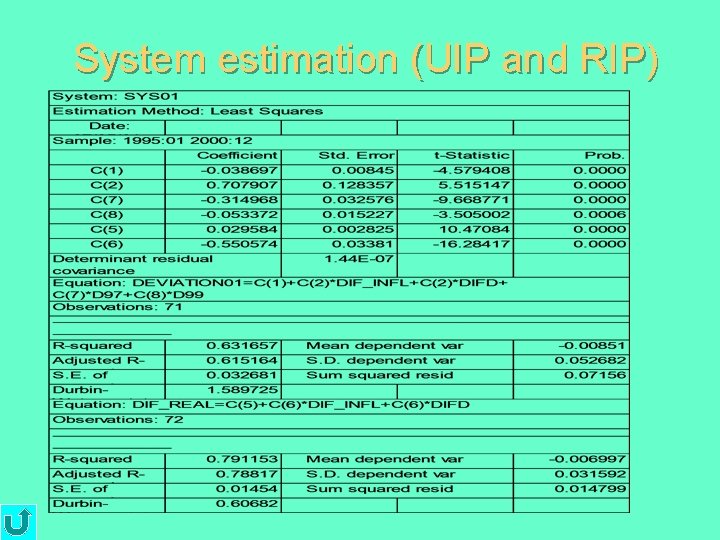 System estimation (UIP and RIP) 