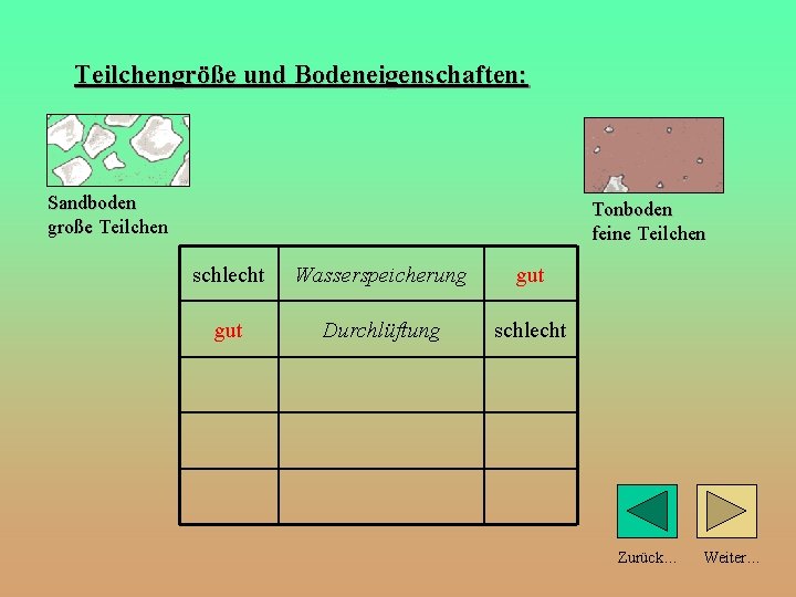 Teilchengröße und Bodeneigenschaften: Sandboden große Teilchen Tonboden feine Teilchen schlecht Wasserspeicherung gut Durchlüftung schlecht