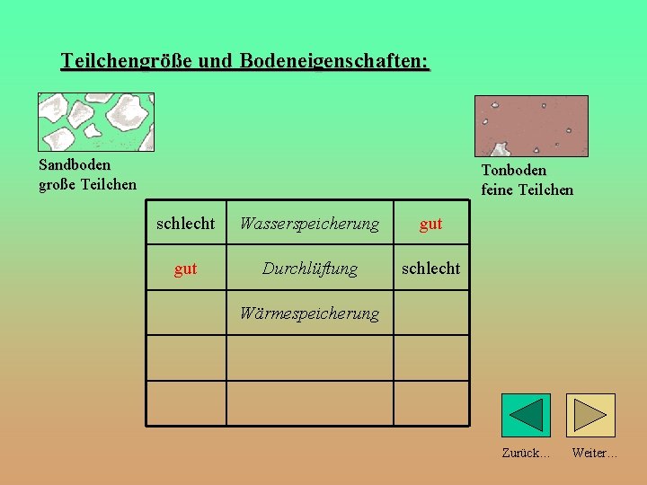 Teilchengröße und Bodeneigenschaften: Sandboden große Teilchen Tonboden feine Teilchen schlecht Wasserspeicherung gut Durchlüftung schlecht