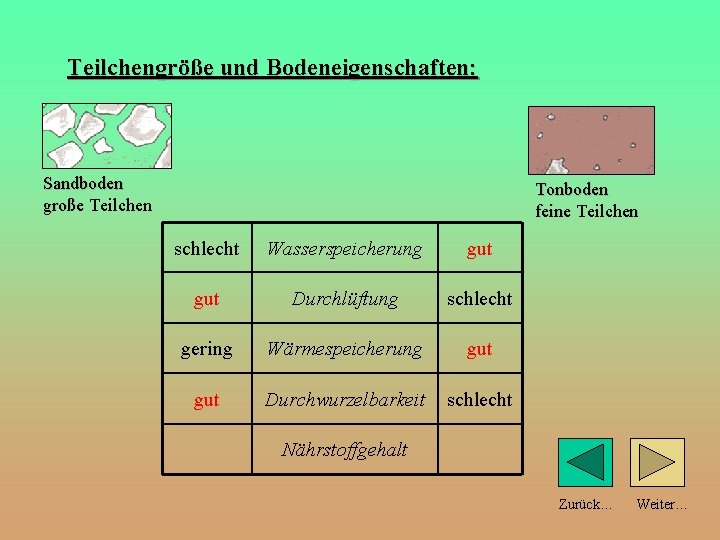 Teilchengröße und Bodeneigenschaften: Sandboden große Teilchen Tonboden feine Teilchen schlecht Wasserspeicherung gut Durchlüftung schlecht