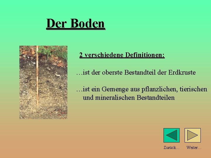 Der Boden 2 verschiedene Definitionen: …ist der oberste Bestandteil der Erdkruste …ist ein Gemenge