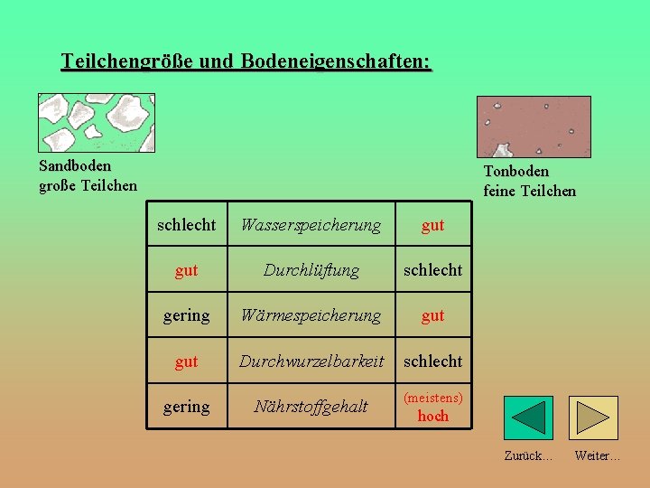 Teilchengröße und Bodeneigenschaften: Sandboden große Teilchen Tonboden feine Teilchen schlecht Wasserspeicherung gut Durchlüftung schlecht