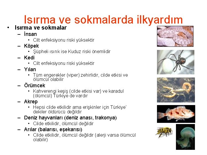 Isırma ve sokmalarda ilkyardım • Isırma ve sokmalar – İnsan • Cilt enfeksiyonu riski