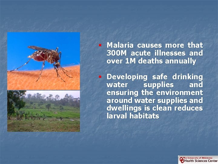 § Malaria causes more that 300 M acute illnesses and over 1 M deaths