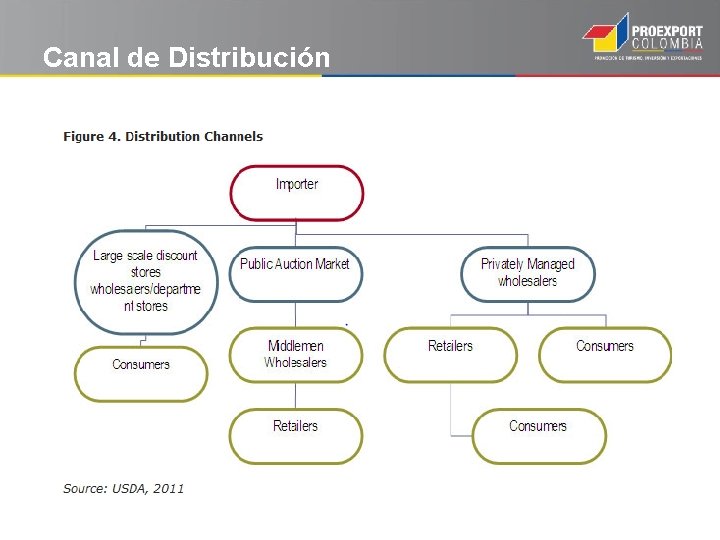 Canal de Distribución 