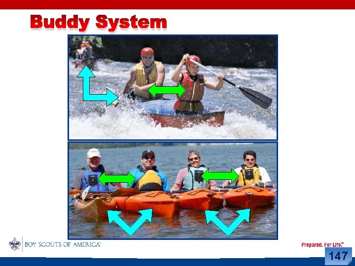 Buddy System 147 