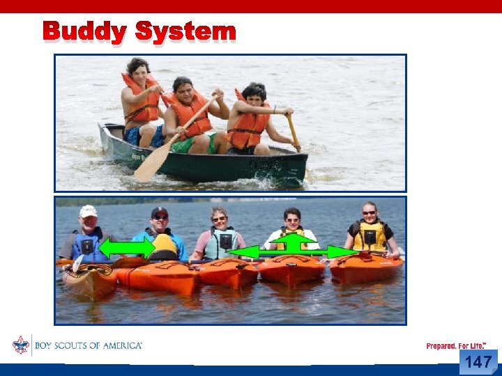 Buddy System 147 