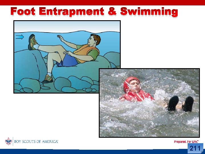Foot Entrapment & Swimming 211 